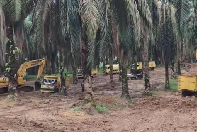 Tak Tersentuh Hukum, Kebun PT Hindoli Diduga Beralih Fungsi Jadi Lokasi Illegal Drilling